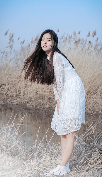 天相动漫在线观看全集免费播放