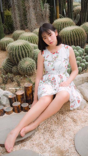 图书馆的女友1-6集结局动漫全集免费观看